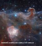 Barnard33 Nebulosa Cabella de caballo abajo izq. ngc2023